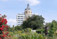 Kleingartenanlage in Delitzsch mit Wasserturm im Hintergrund