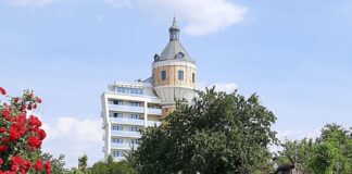 Kleingartenanlage in Delitzsch mit Wasserturm im Hintergrund