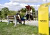 Über einen QR-Code können Schäden an einem Spielplatz direkt gemeldet werden. Foto: promo