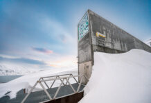 Bloss nix vergessen - dafür gibt es Stätten wie die Svalbard Global Seed Vault. Und in einer neuen Ausstellung widmet man sich in Leipzig der Wissensbewahrung. Foto: Michael Major