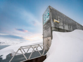 Bloss nix vergessen - daf&uuml;r gibt es St&auml;tten wie die Svalbard Global Seed Vault. Und in einer neuen Ausstellung widmet man sich in Leipzig der Wissensbewahrung. Foto: Michael Major