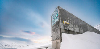 Bloss nix vergessen - dafür gibt es Stätten wie die Svalbard Global Seed Vault. Und in einer neuen Ausstellung widmet man sich in Leipzig der Wissensbewahrung. Foto: Michael Major