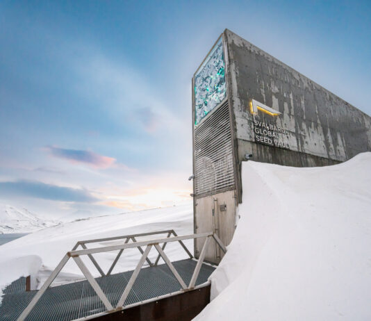 Bloss nix vergessen - daf&uuml;r gibt es St&auml;tten wie die Svalbard Global Seed Vault. Und in einer neuen Ausstellung widmet man sich in Leipzig der Wissensbewahrung. Foto: Michael Major