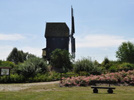 Das 10 000 Quadratmeter gro&szlig;e Gel&auml;nde ringsherum beherbergt einen Zierteich, ein Schafgehege, ein Holzbackofen und eine Ausstellung landwirtschaftlicher Ger&auml;te. Foto: Heimatverein Hohenroda/Mocherwitz