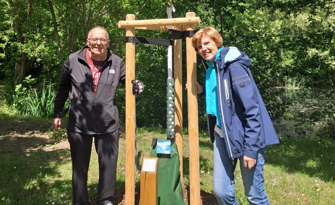 IMG-20251006-WA0003 Doris und Lutz Stahnisch sind seit diesem Jahr Baumpaten. Die japanische Blühkirsche steht in Rackwitz am Teich - ein geschenk ihrer beiden Kinder mit Familie. Foto: privat