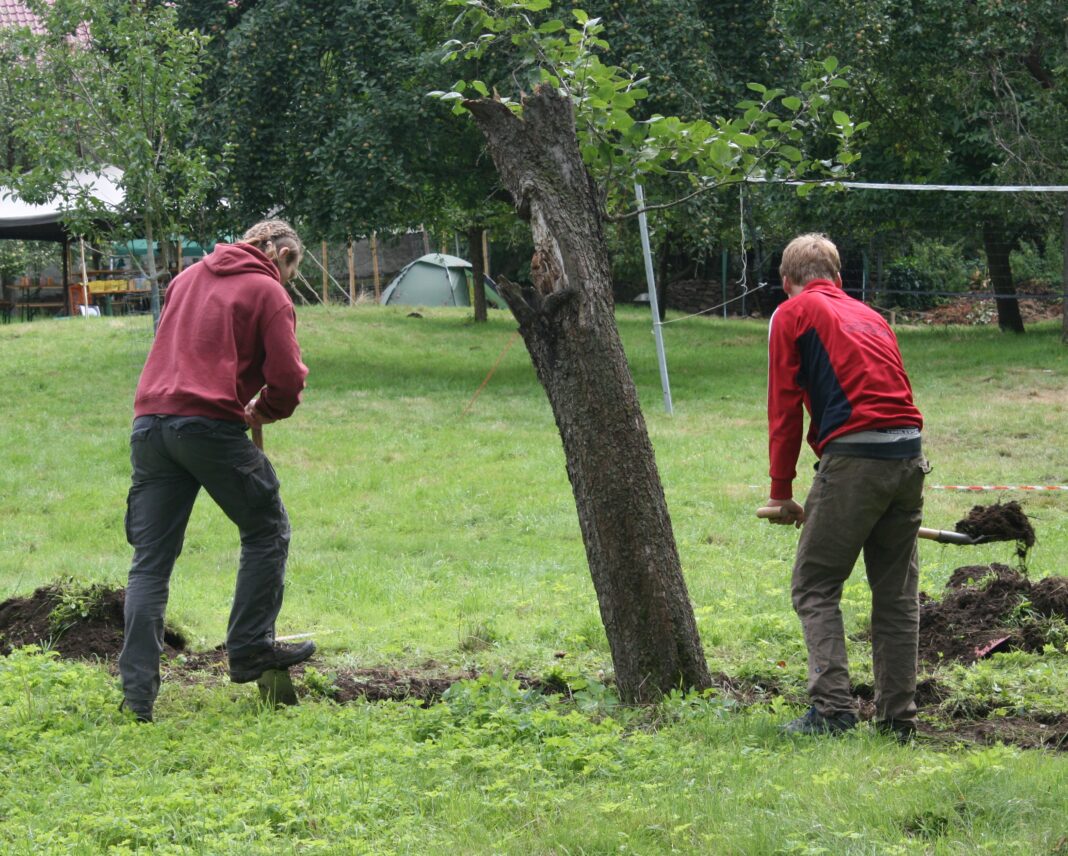 IMG_WorkCamp2025_Presse_2 Gräben buddeln, Mauern bauen - die Teilnehmer beim Workcamp in Großbothen waren sich für keine Arbeiten zu schade. Foto: Workcamp
