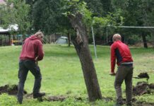 Das WorkCamp in Machern sucht ein neues Herzensprojekt Gräben buddeln, Mauern bauen - die Teilnehmer beim Workcamp in Großbothen waren sich für keine Arbeiten zu schade. Foto: Workcamp