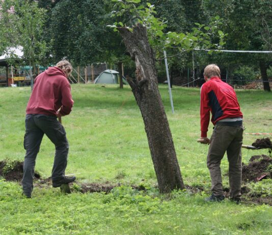 Gr&auml;ben buddeln, Mauern bauen - die Teilnehmer beim Workcamp in Gro&szlig;bothen waren sich f&uuml;r keine Arbeiten zu schade. Foto: Workcamp