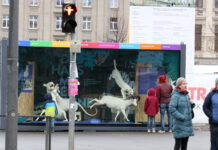 Naturkundemuseum Leipzig zeigt Vielfalt der botanischen Sammlung