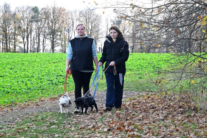 Das Tierheim Schkortitz bei Grimma. Foto: Thomas Kube Selina und Silly (v.li.) zählen zu den vielen Helfern im Tierheim, die natürlich auch immer zum