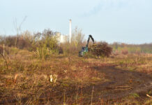 Auf einer Fl&auml;che von 40 Hektar werden im Naturschutzgebiet Werbeliner See B&auml;ume und B&uuml;sche entfernt. Das dient dem Artenschutz. Foto: Alexander Bley/Landratsamt Nordsachsen