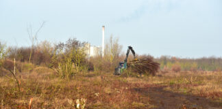 Auf einer Fl&auml;che von 40 Hektar werden im Naturschutzgebiet Werbeliner See B&auml;ume und B&uuml;sche entfernt. Das dient dem Artenschutz. Foto: Alexander Bley/Landratsamt Nordsachsen