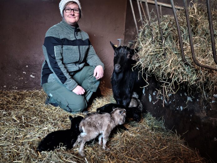 Tierpflegerin Verena Fritsche war bei der Geburt der Ziegen-Vierlinge dabei. Foto: PM