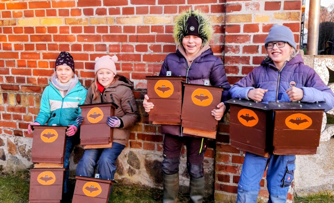 Stolz pr&auml;sentieren die Behlitzer Natursch&uuml;tzer ihre neue Fledermausk&auml;sten. Insgesamt 16 haben sie von Hand gebaut. Foto: Behlitzer Naturschutzjugend