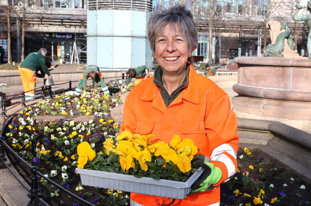 Die Stadtreinigung startet die Fr&uuml;hjahrsbepflanzung in der Innenstadt in Leipzig. Bepflanzung am Mendebrunnen. Foto: Andr&eacute; Kempner
