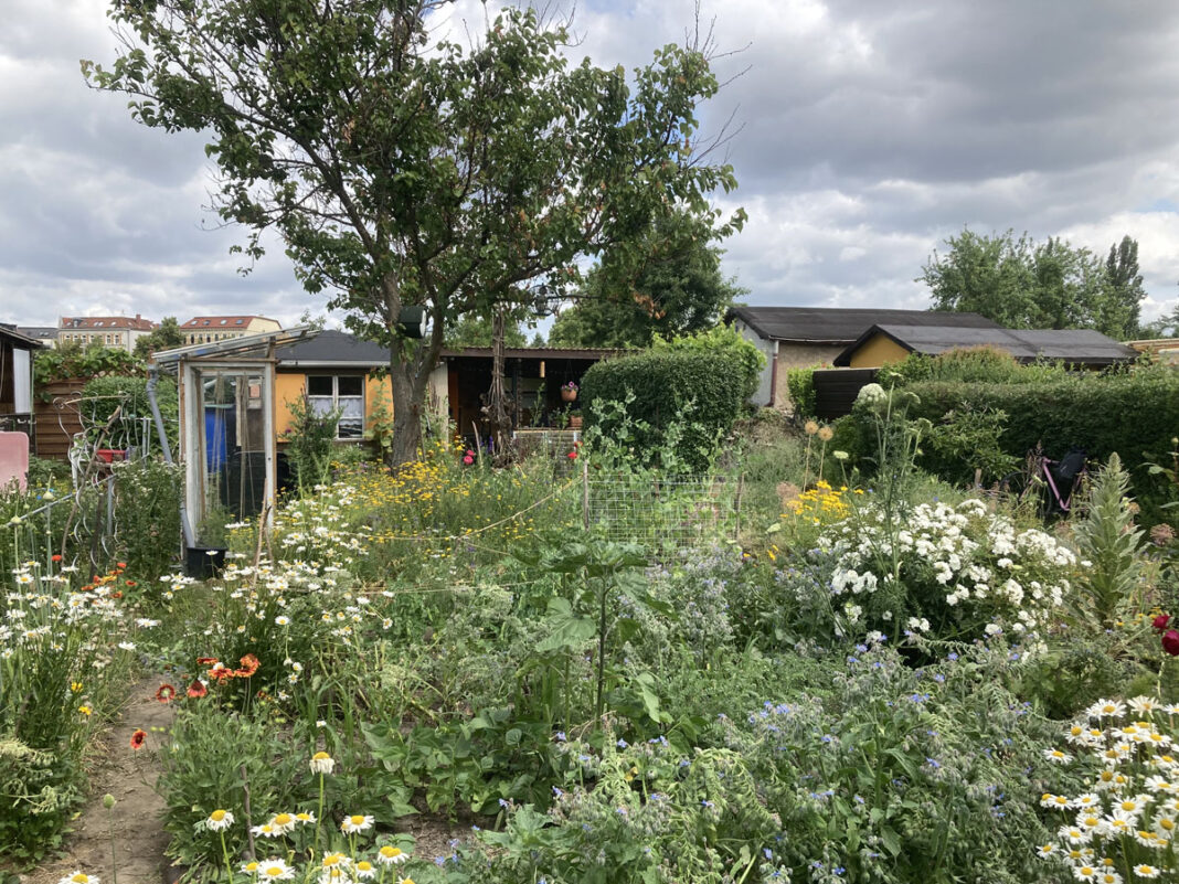 Waldidyll_1 Herrlich grün und ausgesprochen naturnah: Solche Beispiele sind derzeit wieder in Leipzig gesucht und zwar bis zum 10. April. Foto: Amt für Stadtgrün und Gewässer der Stadt Leipzig