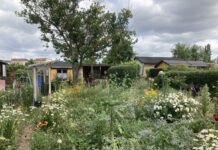 Leipzig sucht den schönsten „naturnahen Kleingarten“ Herrlich grün und ausgesprochen naturnah: Solche Beispiele sind derzeit wieder in Leipzig gesucht und zwar bis zum 10. April. Foto: Amt für Stadtgrün und Gewässer der Stadt Leipzig