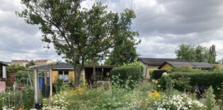 Herrlich gr&uuml;n und ausgesprochen naturnah: Solche Beispiele sind derzeit wieder in Leipzig gesucht und zwar bis zum 10. April. Foto: Amt f&uuml;r Stadtgr&uuml;n und Gew&auml;sser der Stadt Leipzig