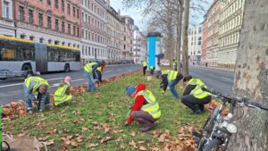 In der Leipziger S&uuml;dvorstadt wurden im 3600 Stecklinge in die Erde gebracht. Si bl&uuml;hen im Fr&uuml;hlinghier jede Menge Krokusse. . Foto: &Ouml;kol&ouml;we Leipzig