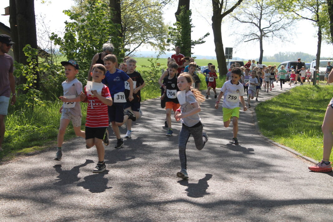 Die Kinderl&auml;ufe beim Hohburger Steinbruchlauf sind besonders beliebt. Foto: promo