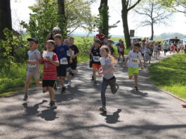 Die Kinderl&auml;ufe beim Hohburger Steinbruchlauf sind besonders beliebt. Foto: promo