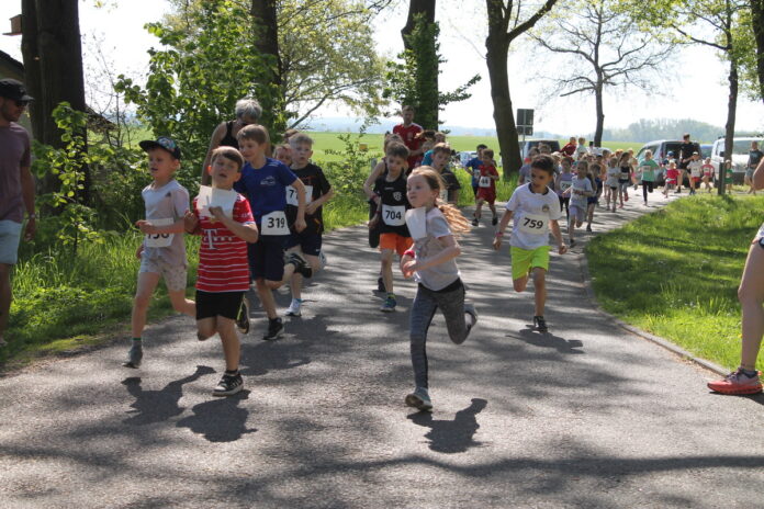 IMG_0023 Die Kinderläufe beim Hohburger Steinbruchlauf sind besonders beliebt. Foto: promo