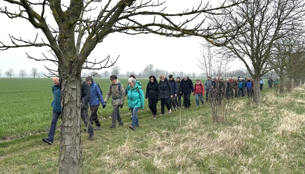 Wanderung_02 Mehr als 60 Interessierte haben an der 1. öffentlichen Frühlingswanderung der Wanderabteilung des ESv Delitzsch teilgenommen. Foto: Olaf Rabe
