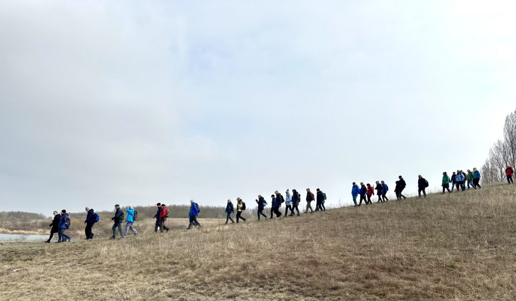 Die öffentliche Frühlingswanderung der Wanderabteilung des ESV Delitzsch führte am Werbeliner See entlang. Foto: Olaf Rabe