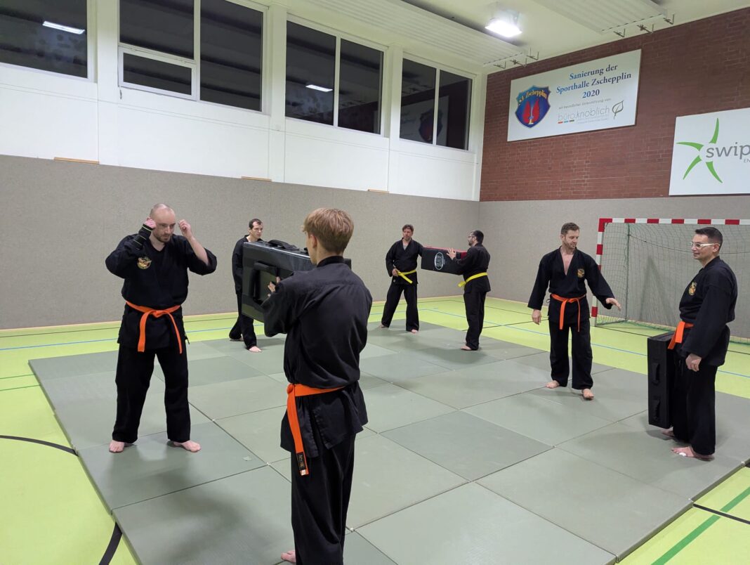 Die Abteilung Hapkido beim SV Zschepplin bietet Training in dieser Kampfkunst f&uuml;r Kinder sowie Erwachsene an. Foto: privat