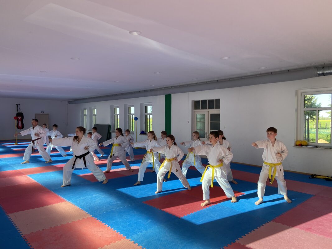 Training bei Shintai Wiedemar Training bei Shintai Wiedemar