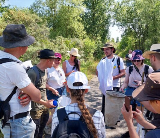 Tag der Artenvielfalt: Experte Andreas Raffelt (2.v.l.) im Gespr&auml;ch mit Laienforschern. An der Citizen-Science-Veranstaltung im Naturschutzgebiet Werbeliner See nahmen im Jahr 2025 20 Interessenten teil. Diese wurden von vier Experten angeleitet und lernten dabei viel Wissenswertes &uuml;ber die Lebensweisen der verschiedenen Arten und die Notwendigkeit ihres besonderen Schutzes. Foto: LRA/J&auml;ger
