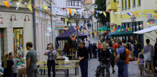 Wurzen feiert am 6. Juni sein Wenceslaigassenfest. Foto: PM