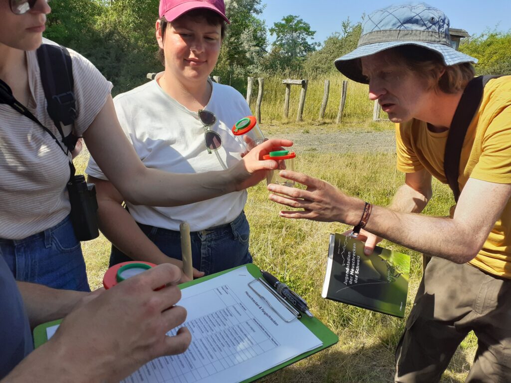 Was krabbelt und l&auml;uft denn das im Naturschutzgebiet Werbeliner See? Mit Artenkennern gehen Interessierte auf Erkundungs- und Entdeckertour. Foto: Heike Franke 