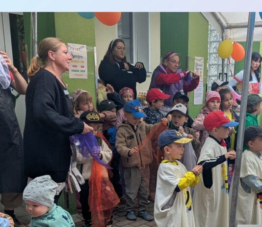 Bei den Sonnenk&auml;fern gab es beim Sommerfest viel zu erleben. Foto: PM