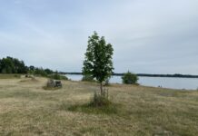 Die Sprottaer Bucht an der Eilenburger Kiesgrube ist f&uuml;r viele Einwohner zu einem Ort der Ruhe und Erholung geworden. Foto: Nannette Hoffmann