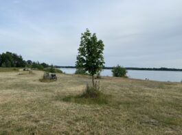 Die Sprottaer Bucht an der Eilenburger Kiesgrube ist f&uuml;r viele Einwohner zu einem Ort der Ruhe und Erholung geworden. Foto: Nannette Hoffmann