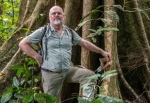 Sebastian Schorr im Regenwald