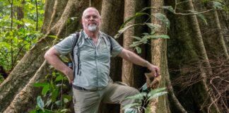 Sebastian Schorr im Regenwald