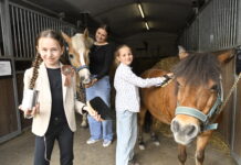 Die Pflege im Stall geh&ouml;rt zum Pferdesport dazu. Alexandra, Elina und Anandra (v.li.) wissen das sehr wohl. Auch eine kleine Geldspendebox hat Alexandra gebastelt und sogar erste Spenden eingesammelt. Foto: Thomas Kube