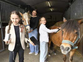 Die Pflege im Stall geh&ouml;rt zum Pferdesport dazu. Alexandra, Elina und Anandra (v.li.) wissen das sehr wohl. Auch eine kleine Geldspendebox hat Alexandra gebastelt und sogar erste Spenden eingesammelt. Foto: Thomas Kube