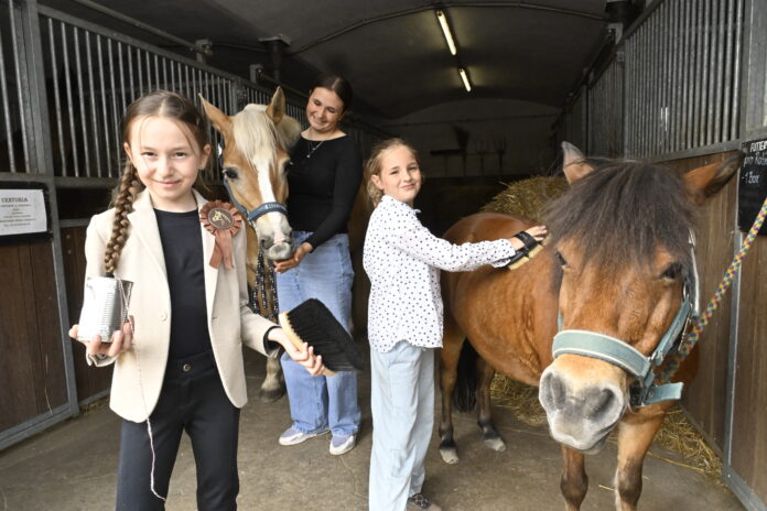 Die Pflege im Stall gehört zum Pferdesport dazu. Alexandra, Elina und Anandra (v.li.) wissen das sehr wohl. Auch eine kleine Geldspendebox hat Alexandra gebastelt und sogar erste Spenden eingesammelt. Foto: Thomas Kube Die Pflege im Stall gehört zum Pferdesport dazu. Alexandra, Elina und Anandra (v.li.) wissen das sehr wohl. Auch eine kleine Geldspendebox hat Alexandra gebastelt und sogar erste Spenden eingesammelt. Foto: Thomas Kube