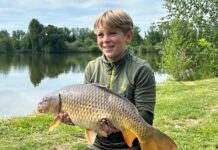 Was f&uuml;r ein stolzer Fang: Mit diesem Karpfen sicherte sich Silas H&auml;rzschel den Titel "Jugend-Karpfen-K&ouml;nig" 2026. Foto: ASV "G&ouml;selaue" M&ouml;lbis