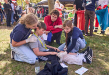 Da war viel Know-how in Theorie und Praxis gefragt: Doch damit konnte das B-Jugend-Team aus Leipzig/Nordsachsen auf jeden Fall aufwarten. Foto: Johanniter Sachsen