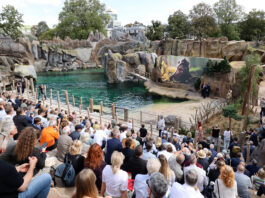 Die neue Attraktion "Feuerland" wurde k&uuml;rzlich im Zoo in Leipzig er&ouml;ffnet. Foto: Andr&eacute; Kempner