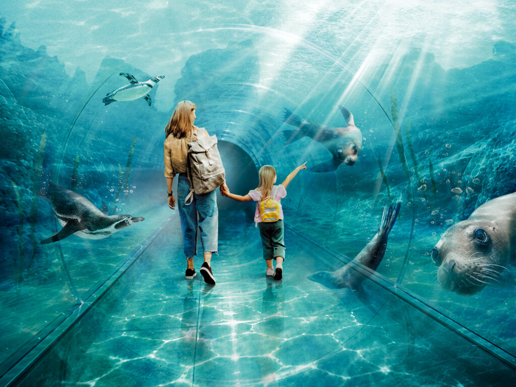 Besucher können hier Dutzende Humboldtpinguine und mehrere kalifornische Seelöwen sowohl an Land als auch im Wasser beobachten. Foto: Zoo Leipzig