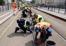 Das Bild des Sommers 2026: Freiwillige Helfer sind bei der Schienenreinigung an der Haltestelle Leib- nizstra&szlig;e in Leipzig mit dabei. Foto: Andr&eacute; Kempner
